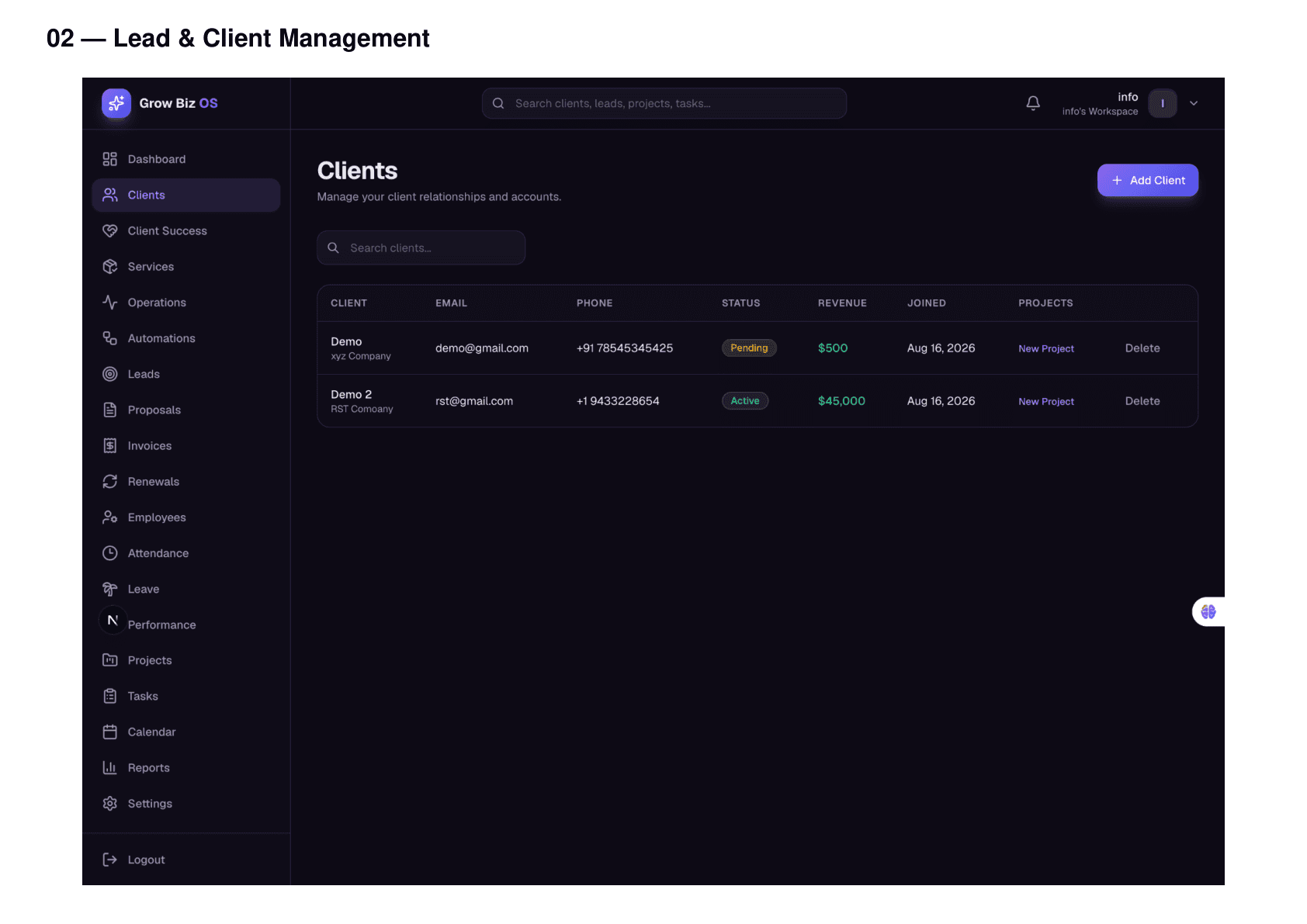 Grow Biz OS client management workspace